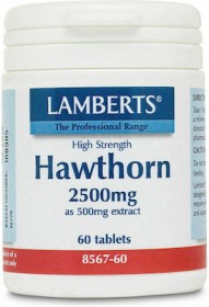 Lamberts HAWTHORN 2500MG X 60TABS