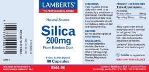 Lamberts SILICA X 90 CAPS